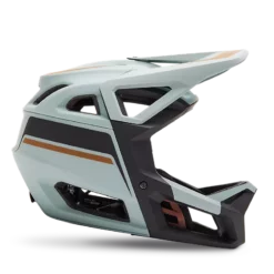 Fox Racing Proframe RS Racik Helmet