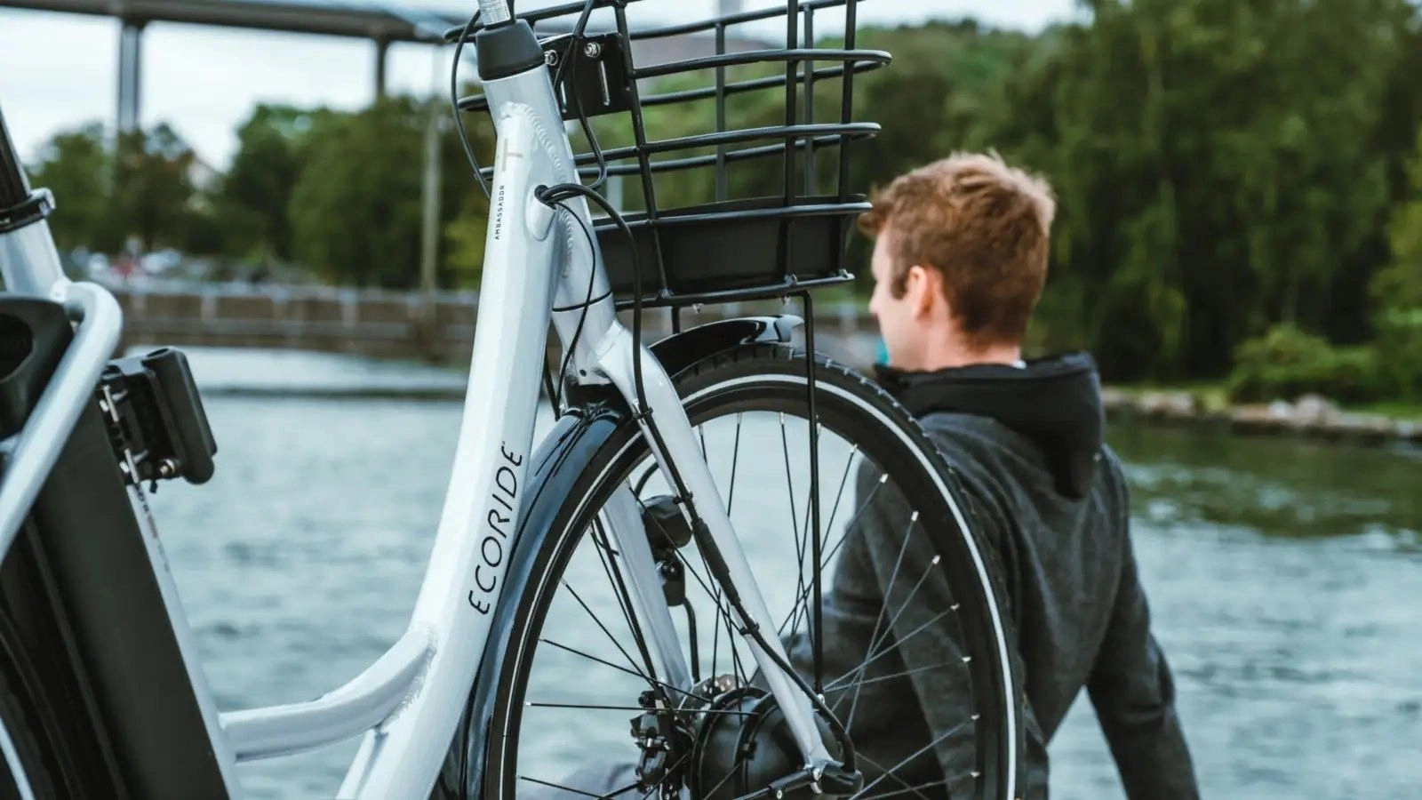 Elcykel Ecoride Ambassador 28 AXS H-7 Dam Silver - Bild 3