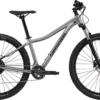 MTB Cannondale Trail Women's 5 Lavender