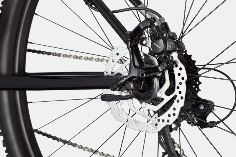 MTB Cannondale Trail 8 Grå - Bild 4