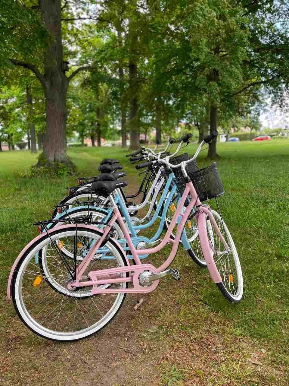 Damcykel MADE Linde 3-växlad 28" Ljusblå - Bild 3